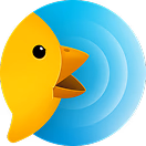 BirdyChat logo